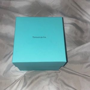 Beautiful Tiffany & Co Gift Box!